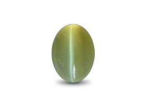 Exclusive Cats Eye