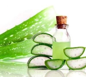 Katrazhai Oil (Aloe Vera Hair Oil) – 100 ml