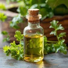 Citronella Oil